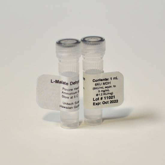 MDH ENZYME (6KU = 5mg) 06KU/1mL (MDH-6K)