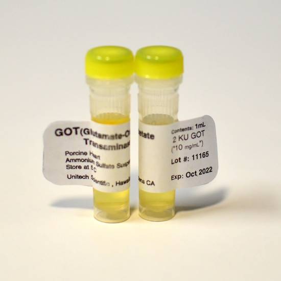 GOT ENZ. 1 mL, 2000 U/mL (GOT-2K)