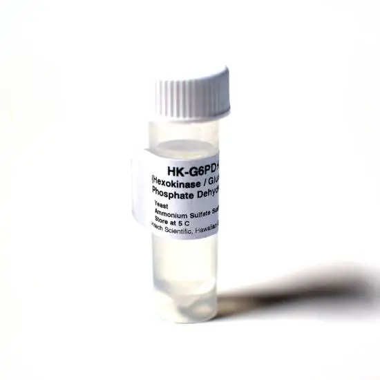 HK/G6PDH ENZYME - 5mL Suspension